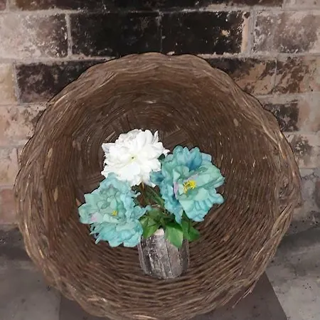 Despertar En アパート リグロス