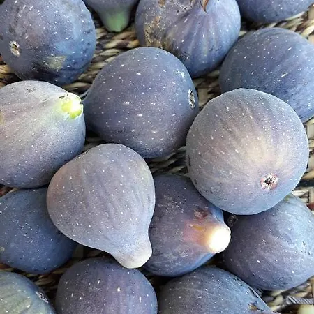 アパート Despertar En リグロス