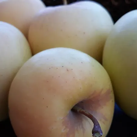 Despertar En アパート *