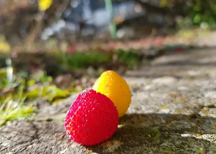 Apartamento Despertar En