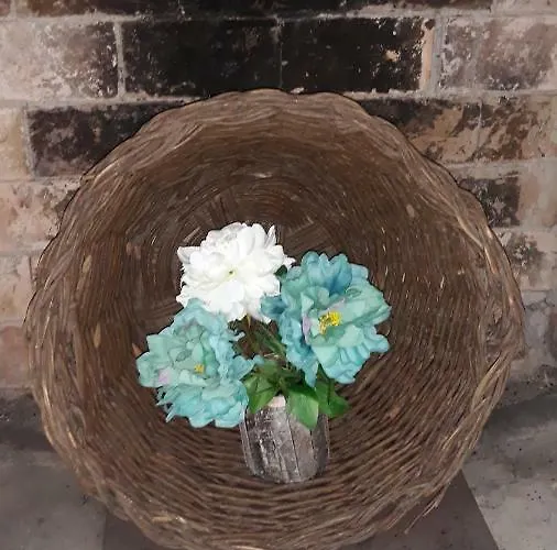 Despertar En Apartamento Riglos