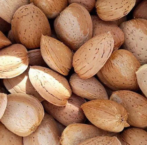 Despertar En Apartamento Riglos