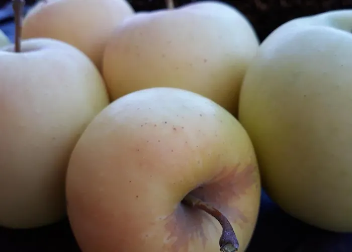 Despertar En דירה *