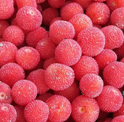 Despertar En * Riglos