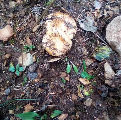 Apartamento Despertar En *